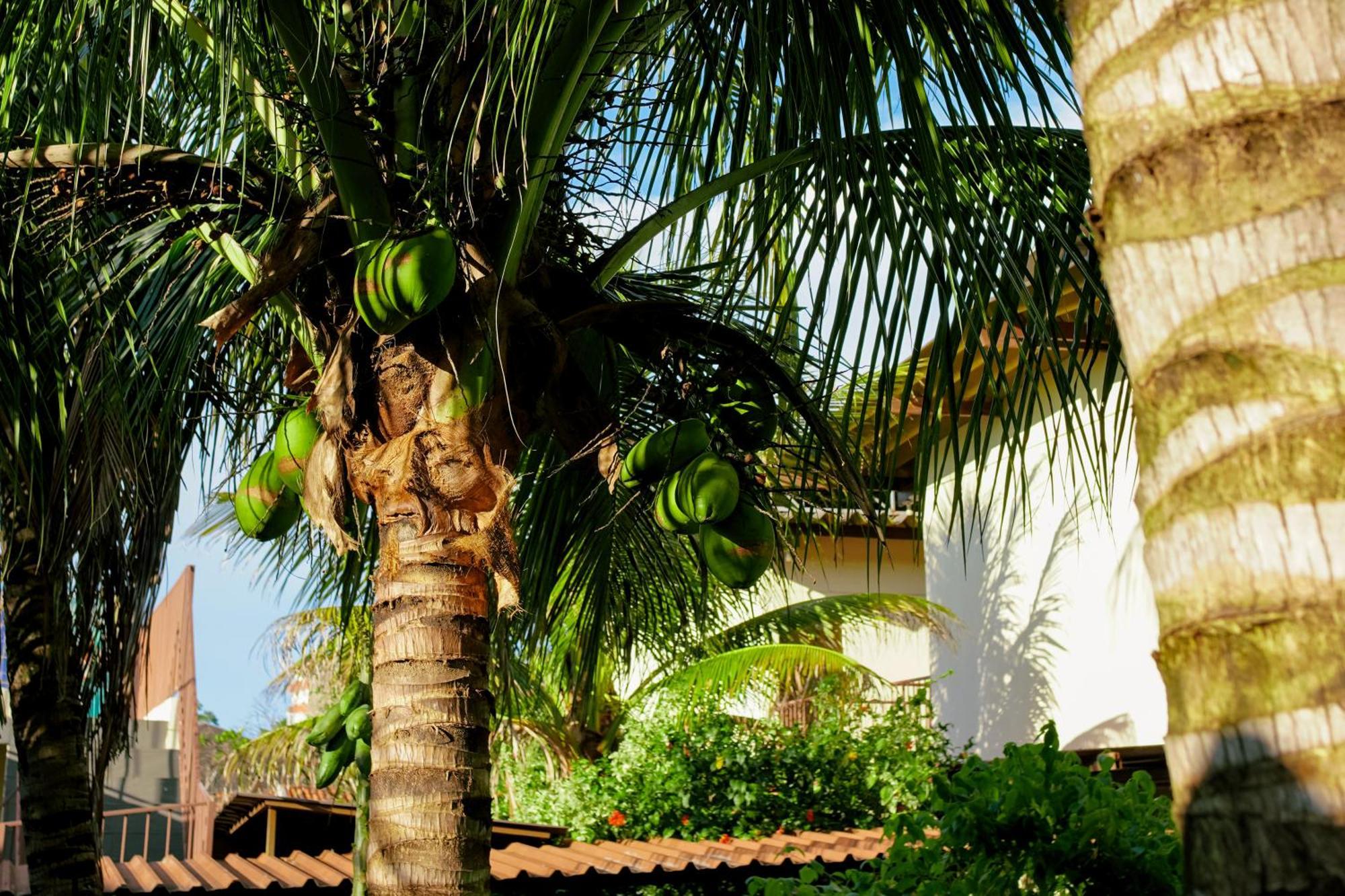 Velinn Hotel Natureza Foz Foz do Iguaçu Extérieur photo