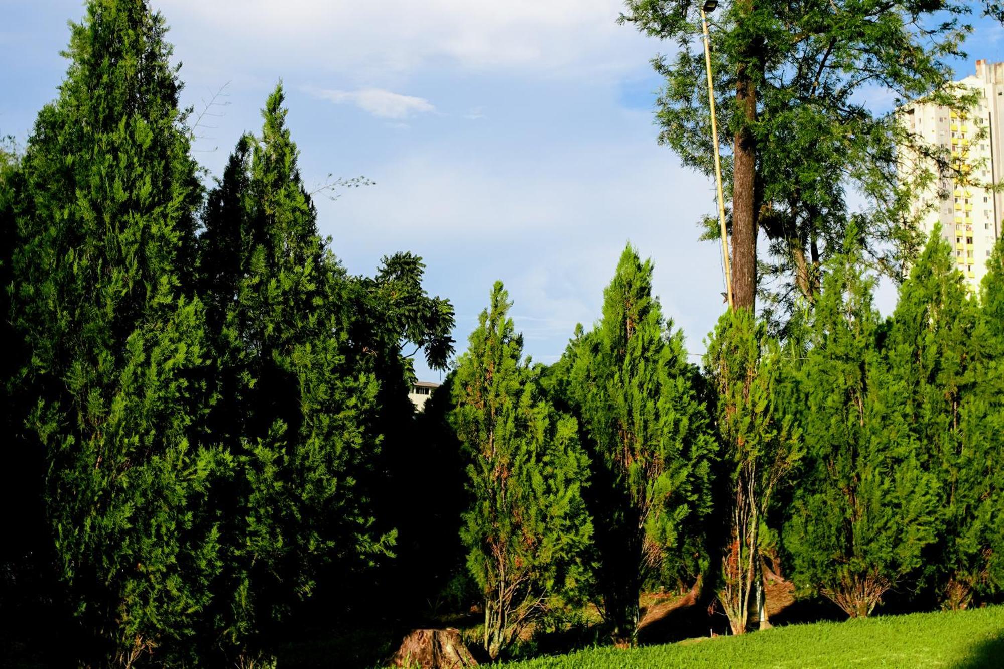 Velinn Hotel Natureza Foz Foz do Iguaçu Extérieur photo